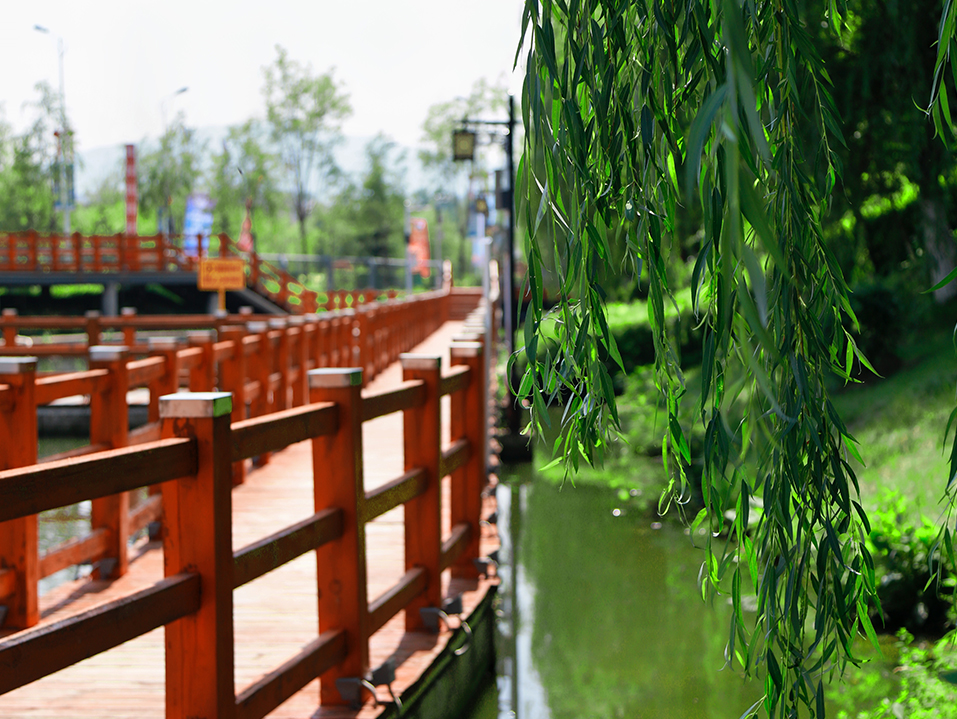 湖边垂柳
