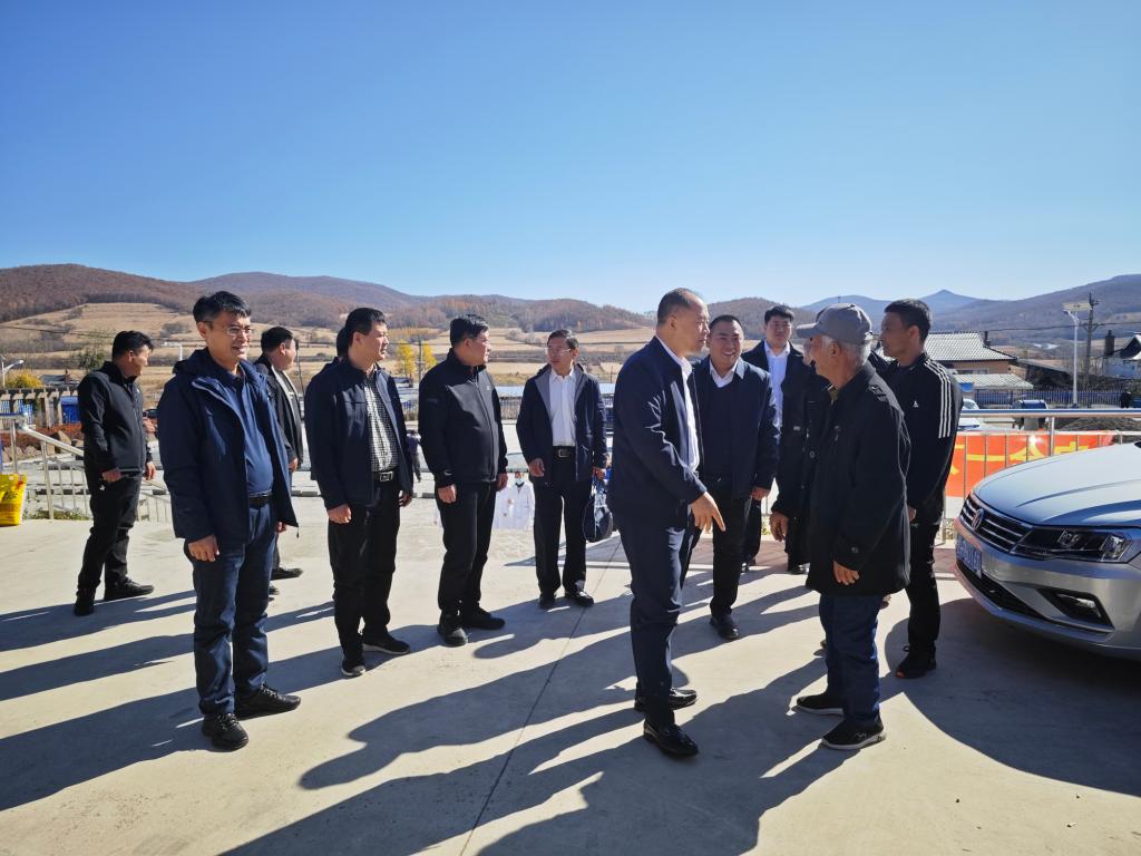 领导们同行到达仲坪村