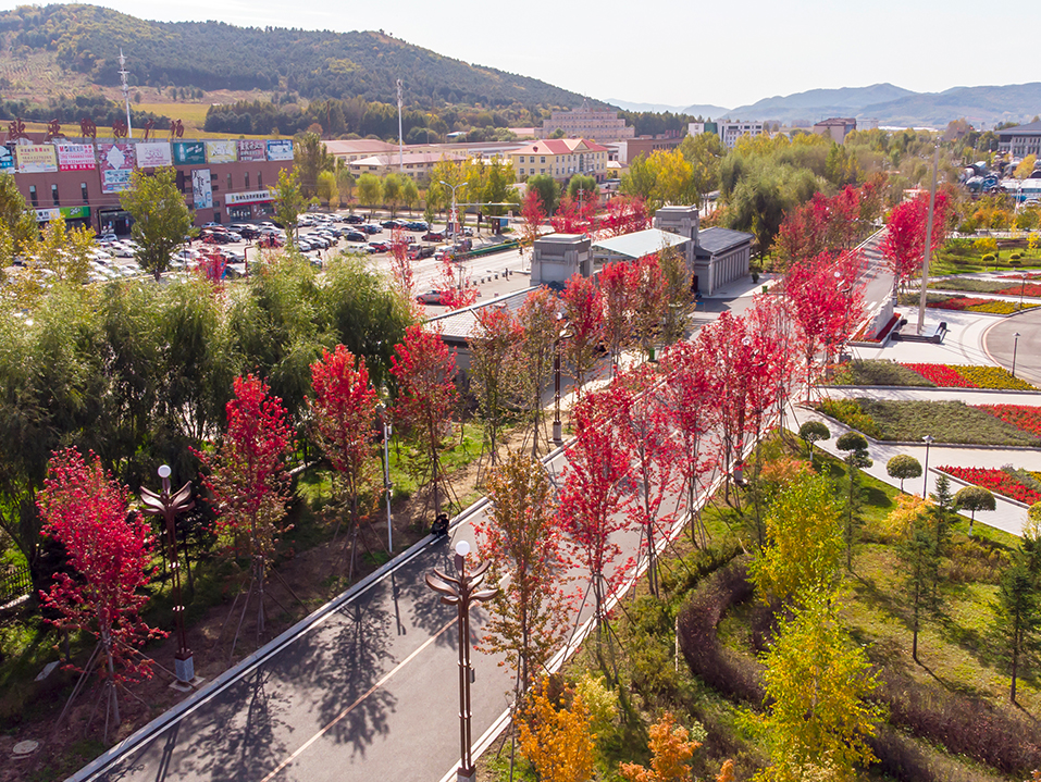 红枫轻舞秋意浓